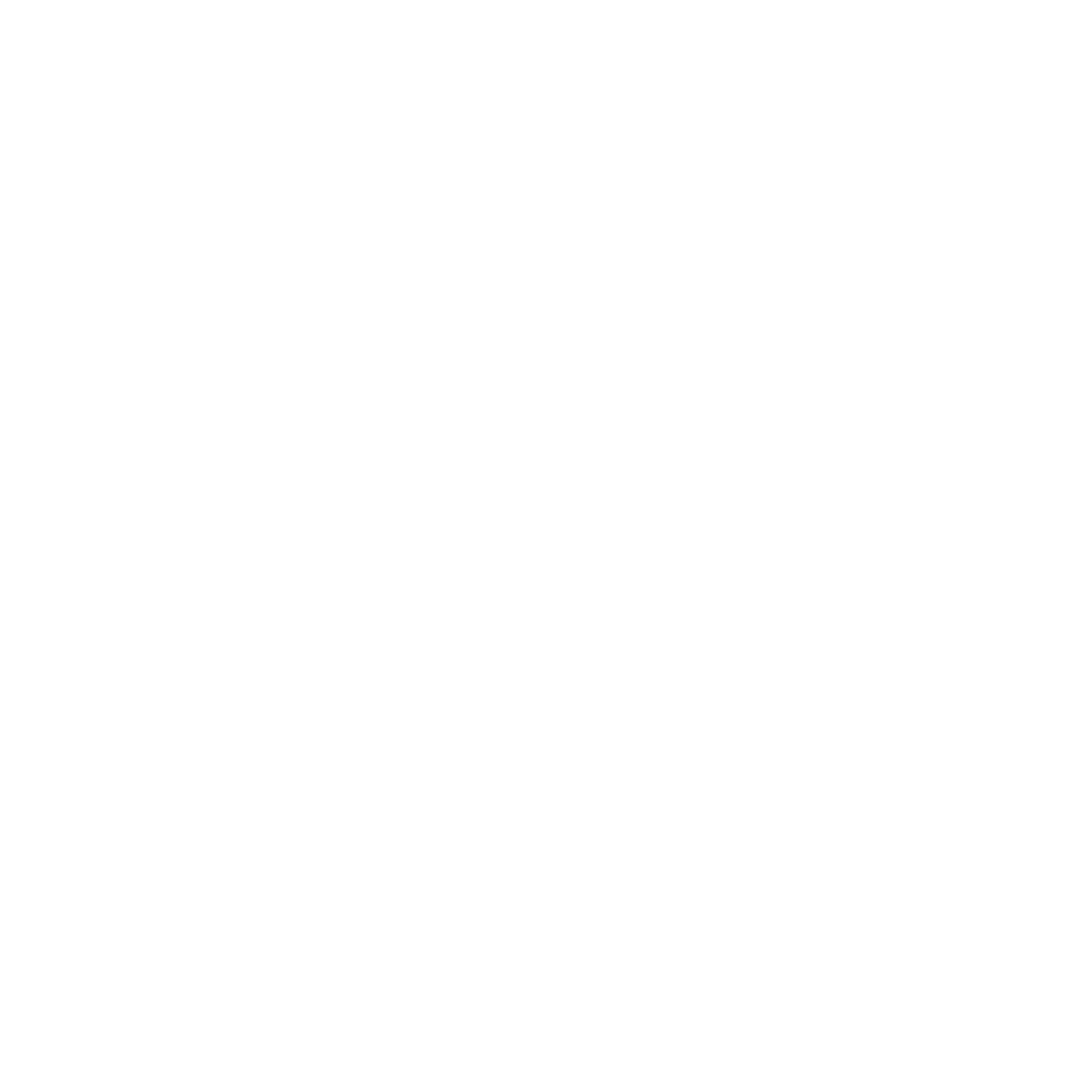 work experience icon