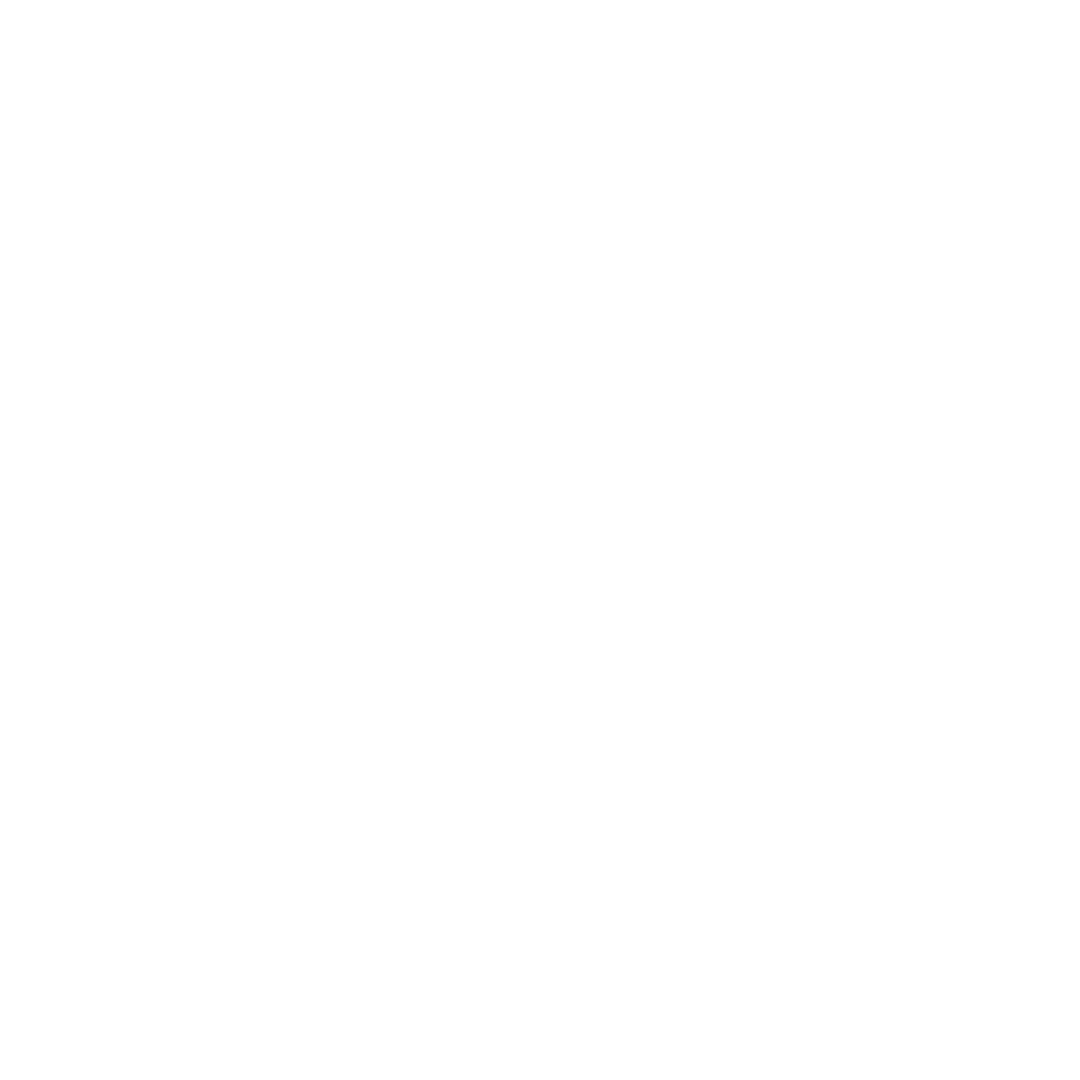 preparation for adulthood icon