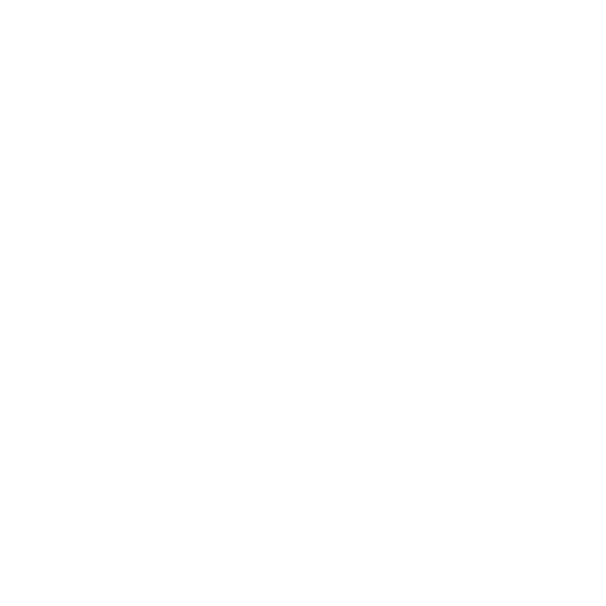 bike icon