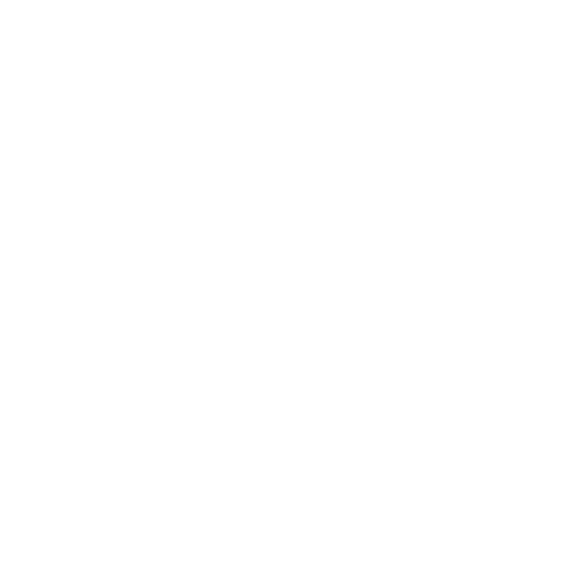 suitcase icon